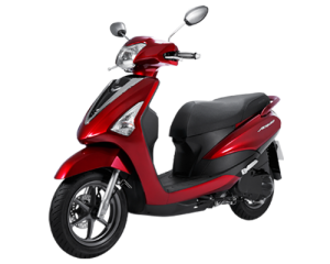 Acruzo Phiên bản cao cấp (Deluxe)