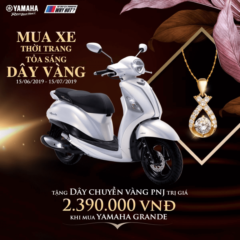 MUA XE THỜI TRANG, TOẢ SÁNG DÂY VÀNG